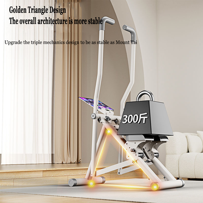 Home Multi functional Stepper  - Home Gym Leg Machine 评论和价格