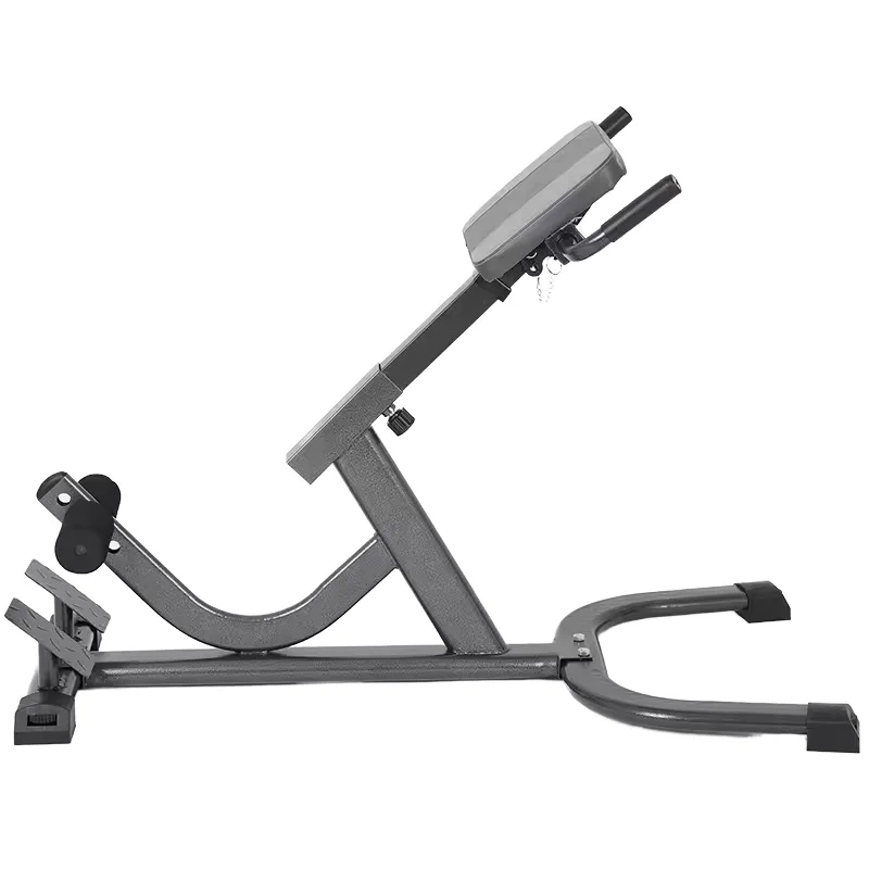 2026 Steel Roman Chair Adjusta - Home Gym Hamstring Exercises 评论和价格