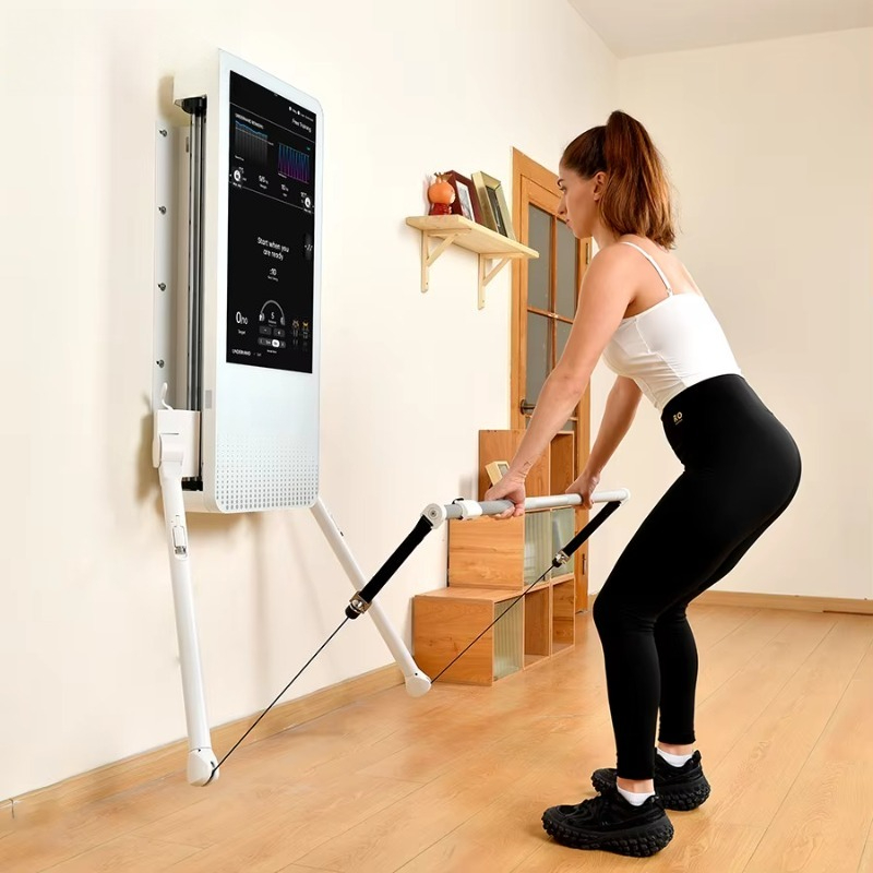 Multifunctional Home Fitness E - Fitness Home Gym Equipment 评论和价格